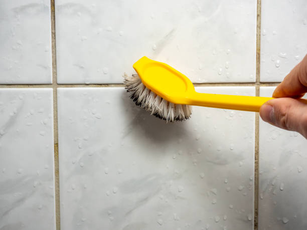 Atkins, VA Mold Removal Company