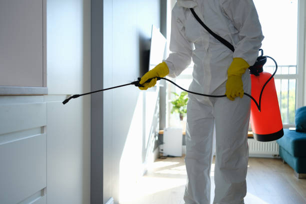 Best Mold Cleaning Services  in Atkins, VA