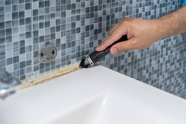 Best Office Mold Removal Services  in Atkins, VA